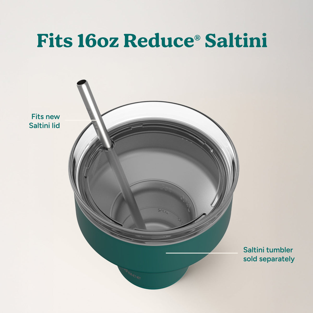 saltini-straw-set-r6 4PK_SaltiniStraws_SS-4.jpg