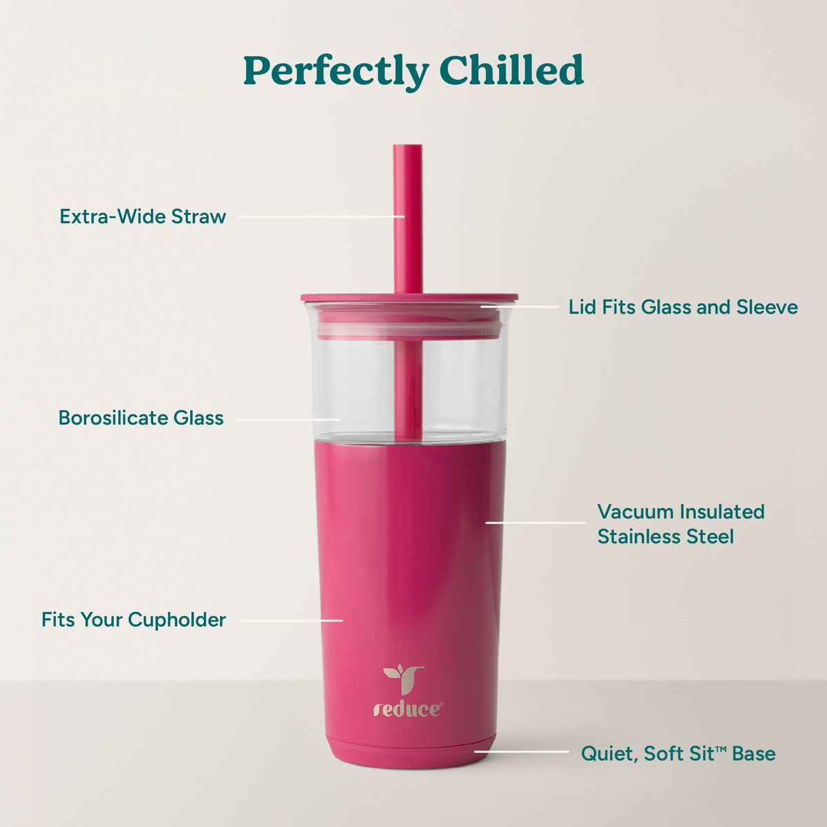aspen-20-oz-h5 Aspen_Dragonfruit_PDP_Infographic2.jpg