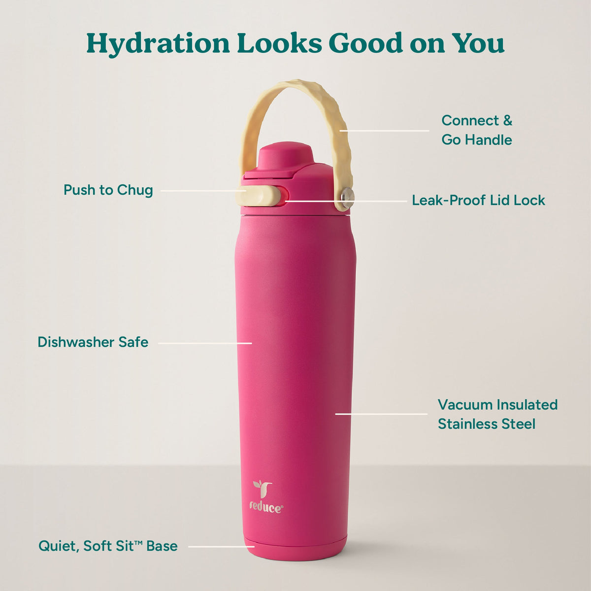 aura-26-oz-u9 Aura_26oz_DragonFruit_PDP_Infographic_2-03.jpg
