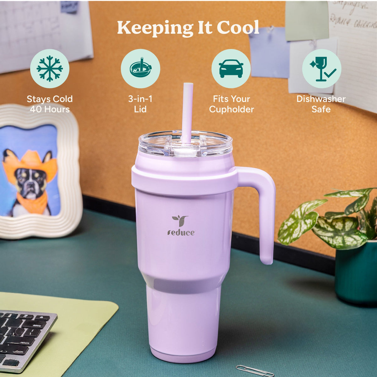 cold1-40-oz-v5 Cold1_40oz_PalmLeaf_Infographic_1.jpg