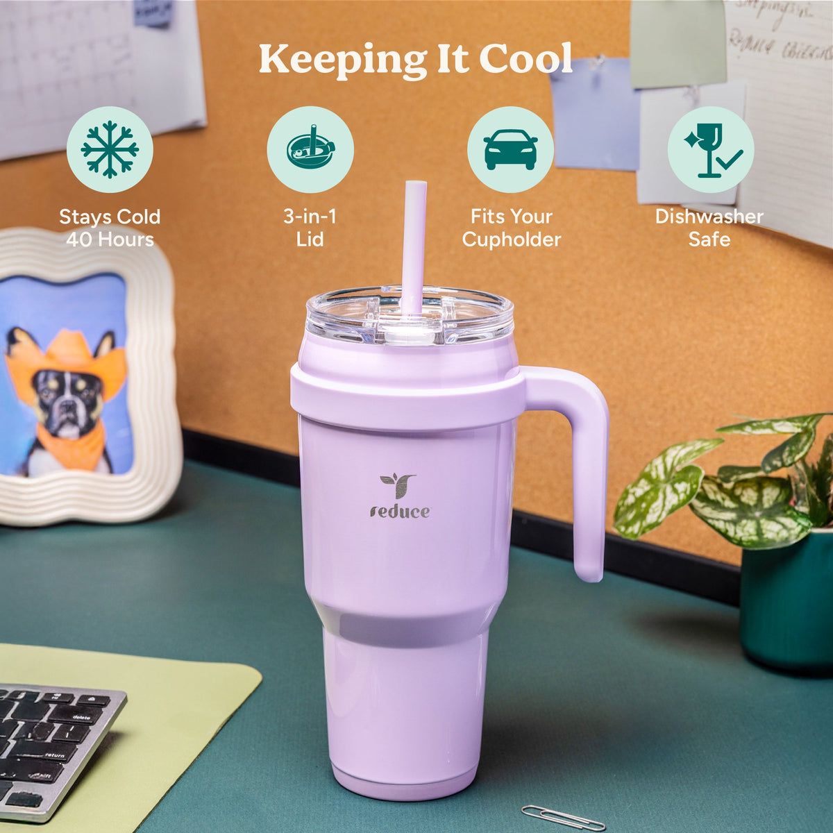 cold1-40-oz-v5 Cold1_40oz_PurplePunch_Infographic_1.jpg